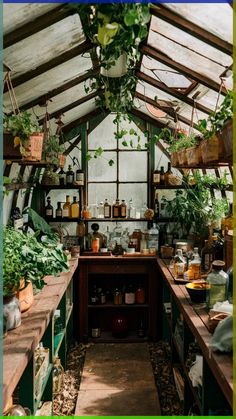 an indoor greenhouse with lots of plants growing in pots and hanging from the ceiling,