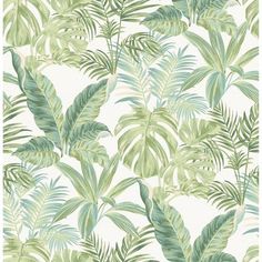 a green and white wallpaper with tropical leaves on it's sides, including palm trees