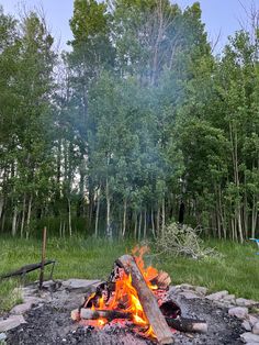 an open fire pit in the middle of a forest