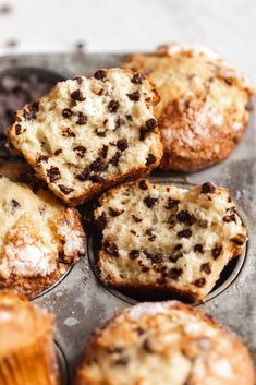 chocolate chip muffins in a muffin tin