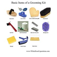 basic items of a grooming kit are shown in this graphic above it is an image with the words basic items of a grooming kit