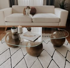 a cat sitting on top of a glass coffee table