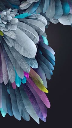 colorful feathers are arranged in the shape of a bird's head on a black background