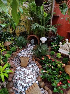 a garden filled with lots of plants and rocks