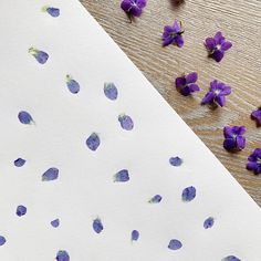 purple flowers are scattered on top of a piece of paper with watercolor pencils