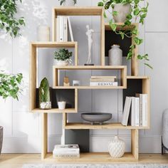 a living room with bookshelves and potted plants on the shelves in front of it