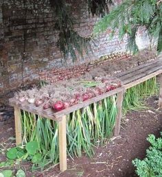 a wooden bench sitting in the middle of a garden