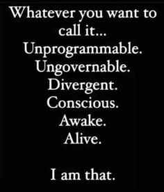 a black and white quote with the words whatever you want to call it unprogramable