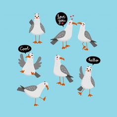 six seagulls with love you written on their heads and beaks in different languages