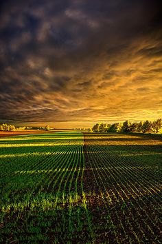 an image of a field that looks like it is going to be plowed in