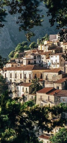 an old village nestled on the side of a mountain with trees in front of it