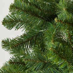 a close up view of the needles on a pine tree