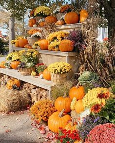 pumpkins and flowers are arranged on the steps