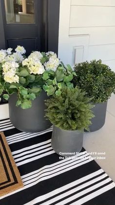 two potted plants sitting on top of a black and white striped rug next to a door