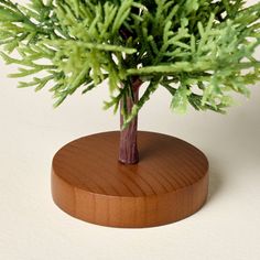 a small tree is placed on a wooden stand