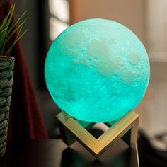 a blue moon lamp sitting on top of a table next to a potted plant