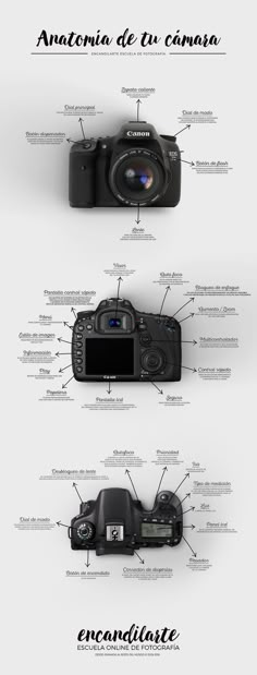 the different parts of a digital camera