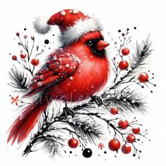 a red bird sitting on top of a tree branch with berries and snow around it