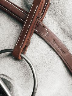 the bridle and reins of a horse are visible in this close up photo