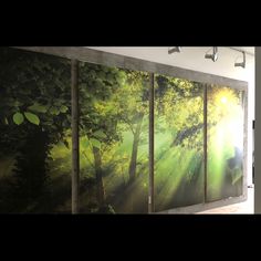 three panels with sunlight shining through the trees