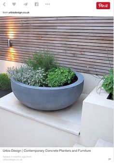 a planter filled with lots of green plants on top of a white ledge next to a wall