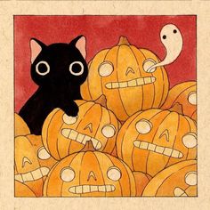 a black cat surrounded by pumpkins with faces drawn on them