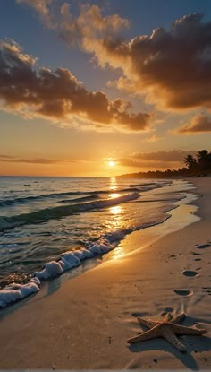 two starfishs are laying on the beach as the sun sets over the ocean