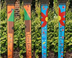 three colorful skis sitting next to each other in front of some bushes and shrubbery