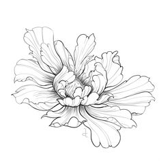 a black and white drawing of a large flower with leaves on it's petals