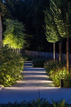 a pathway lit up with lights between trees and bushes in the evening time, surrounded by greenery