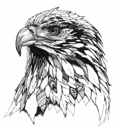 a drawing of an eagle with feathers on it's head