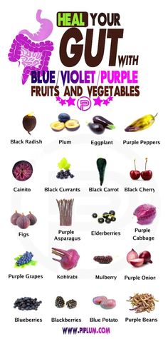 a poster with the words heal your gutt, blue violet and purple fruits and vegetables