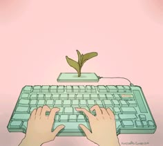 two hands typing on a computer keyboard with a plant growing out of the top one