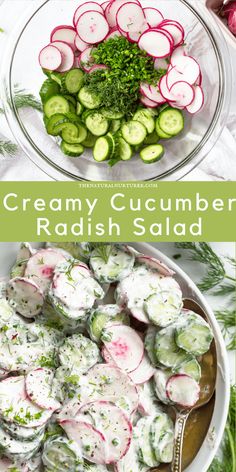 the ingredients for creamy cucumber radish salad are shown in separate bowls