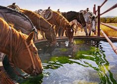 horses drinking water from a trough in the desert