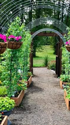 a garden filled with lots of different types of plants