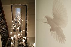 two pictures side by side, one with a dove on it and the other with lights