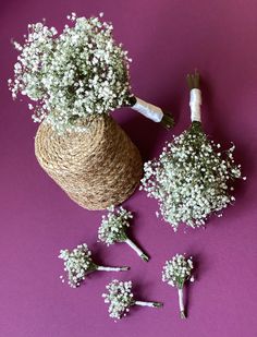 baby's breath flowers and twine on purple background