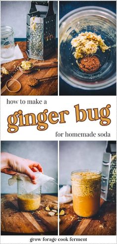 how to make a ginger bug for homemade soda - the perfect way to use it