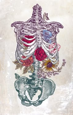 a drawing of a human skeleton with flowers on it's chest and back side