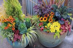 two large potted plants sitting next to each other