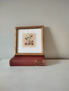 an old book is sitting on top of a shelf next to a framed flower print