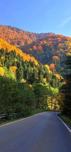 an empty road in the mountains with trees on both sides and fall colored hills behind it