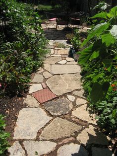 a stone path in the middle of a garden