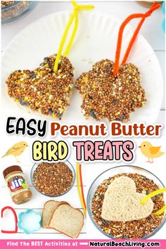 an easy peanut butter bird treats recipe