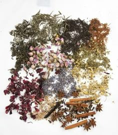 an assortment of herbs and spices on a white background