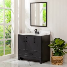 a bathroom vanity with a mirror above it and a potted plant next to it