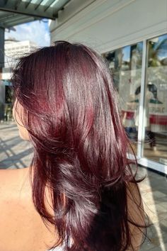 Red Hair Layers, Red Purple Hair, Cherry Red Hair, Wine Red Hair