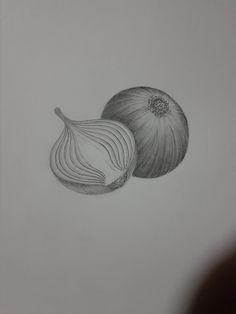 a drawing of two onions on a white paper