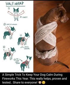 a dog wrapped in rope with instructions on how to keep it from falling off the floor